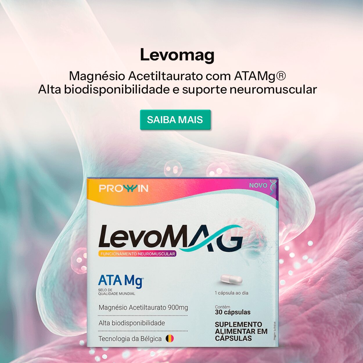 Levomag destaque site